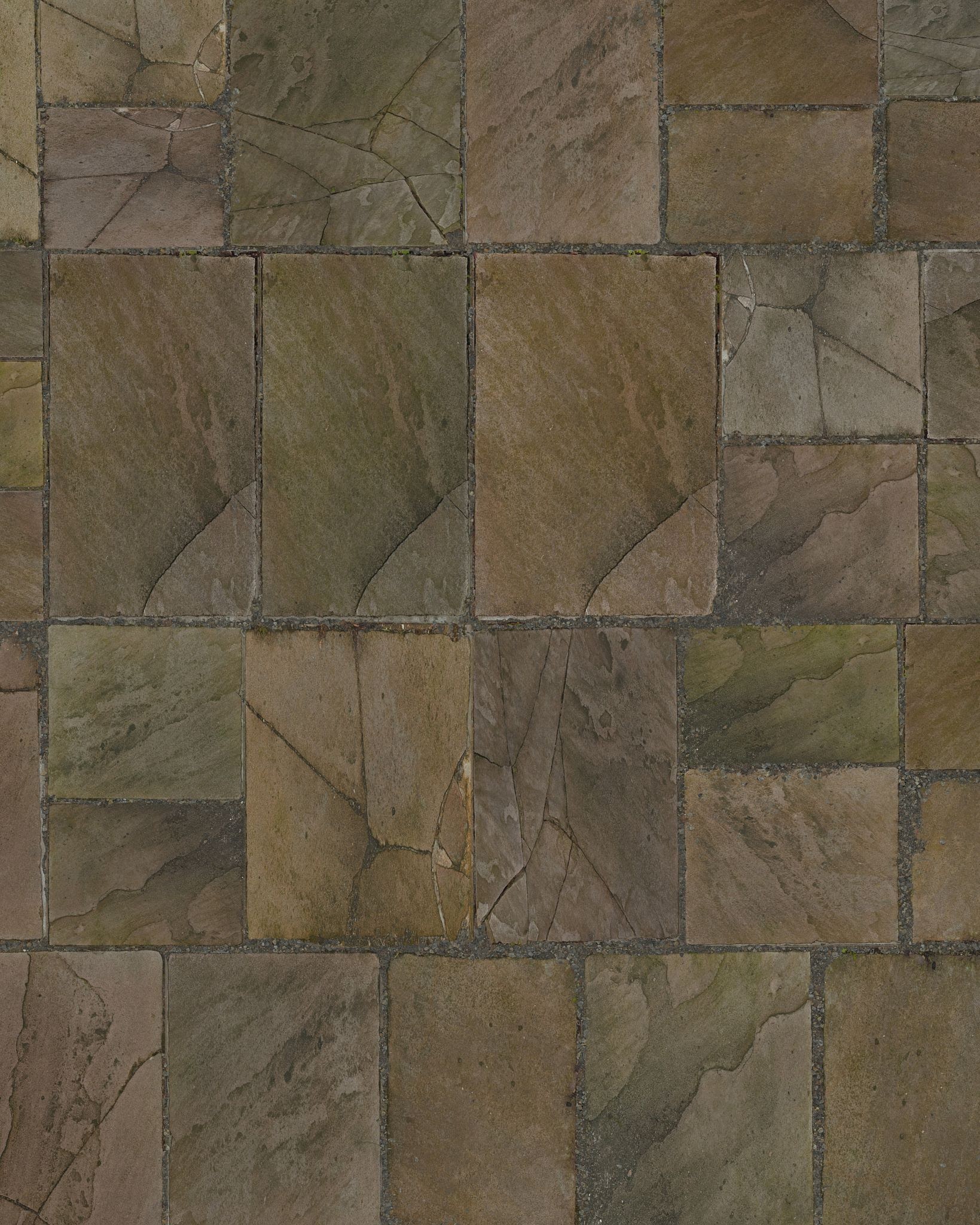 Rippon Buff,Camel Dust,Autumn Brown,